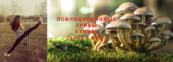 меф Коряжма