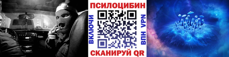 где продают   Лосино-Петровский  Псилоцибиновые грибы мухоморы 