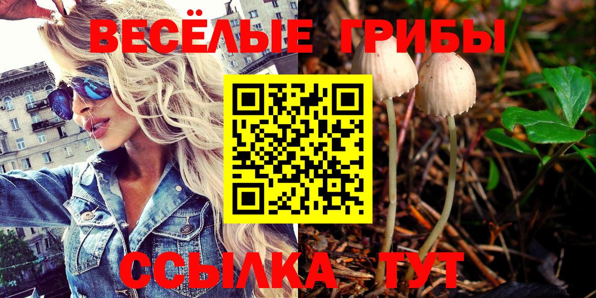 Псилоцибиновые грибы ЛСД  Вход с VPN  Галлюциногенные грибы Psilocybine cubensis  Лосино-Петровский 